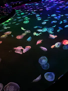 すみだ水族館に投稿された画像（2020/9/19）