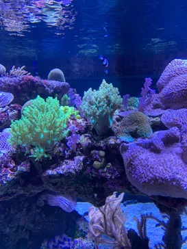 すみだ水族館に投稿された画像（2020/9/19）