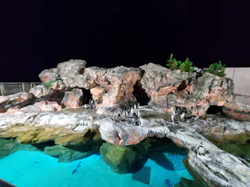 アクアワールド茨城県大洗水族館に投稿された画像（2020/9/19）