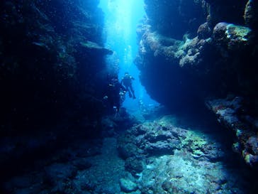 SeaJack divefamily （シージャック）に投稿された画像（2020/9/19）