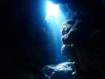 SeaJack divefamily （シージャック）に投稿された画像（2020/9/19）