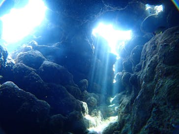 SeaJack divefamily （シージャック）に投稿された画像（2020/9/19）