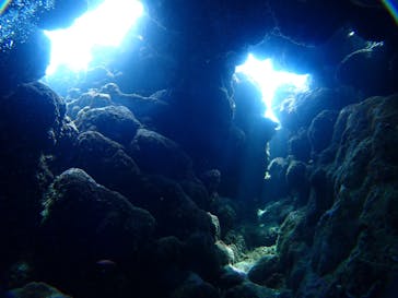 SeaJack divefamily （シージャック）に投稿された画像（2020/9/19）