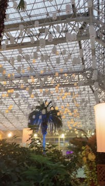 東京サマーランドに投稿された画像（2020/9/19）