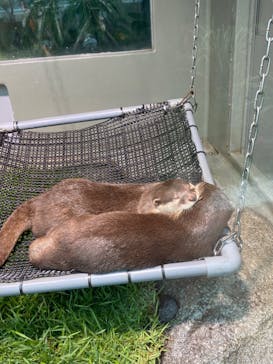 サンシャイン水族館に投稿された画像（2020/9/19）