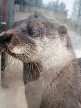 しろとり動物園に投稿された画像（2020/9/19）
