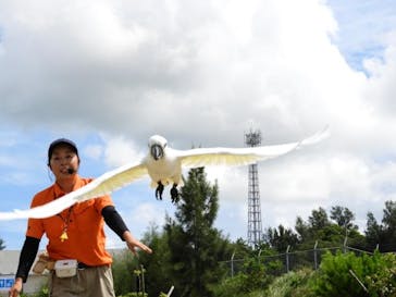 ネオパークオキナワに投稿された画像（2020/9/19）