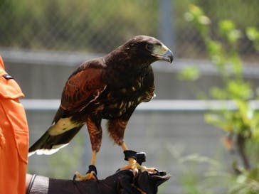 ネオパークオキナワに投稿された画像（2020/9/19）