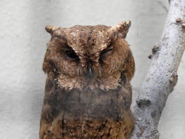 ネオパークオキナワに投稿された画像（2020/9/19）