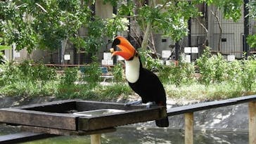 ネオパークオキナワに投稿された画像（2020/9/19）