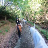 マリンズステーブルに投稿された画像（2020/9/20）