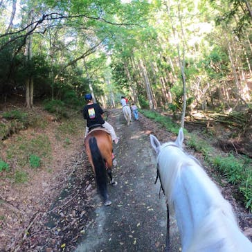 マリンズステーブルに投稿された画像（2020/9/19）