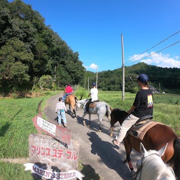 マリンズステーブルに投稿された画像（2020/9/19）