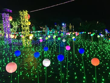 伊豆ぐらんぱる公園に投稿された画像（2020/9/19）