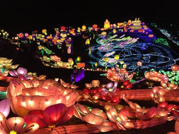 伊豆ぐらんぱる公園に投稿された画像（2020/9/19）