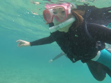 武藤潜水に投稿された画像（2020/9/20）