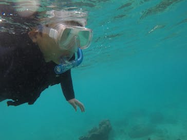 武藤潜水に投稿された画像（2020/9/20）