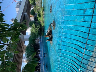 天王寺動物園に投稿された画像（2020/9/20）