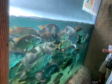 天王寺動物園に投稿された画像（2020/9/20）