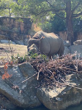 天王寺動物園に投稿された画像（2020/9/20）