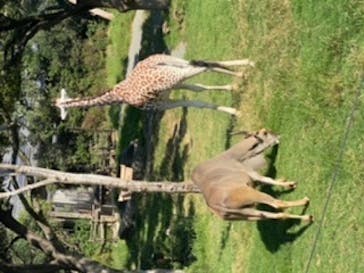 天王寺動物園に投稿された画像（2020/9/20）