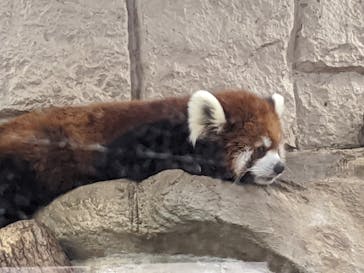 天王寺動物園に投稿された画像（2020/9/20）