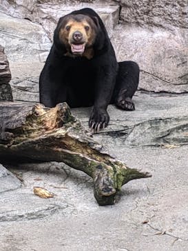 天王寺動物園に投稿された画像（2020/9/20）