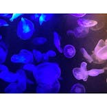 マリンワールド海の中道に投稿された画像（2020/9/20）