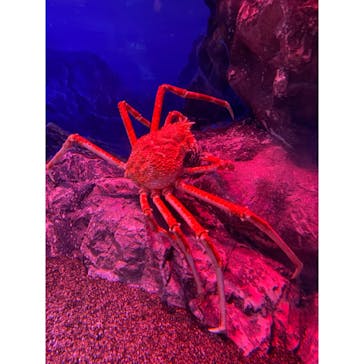 マリンワールド海の中道に投稿された画像（2020/9/20）