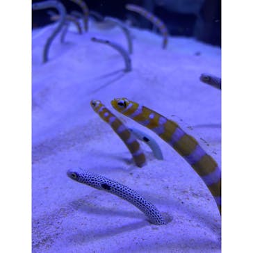 マリンワールド海の中道に投稿された画像（2020/9/20）