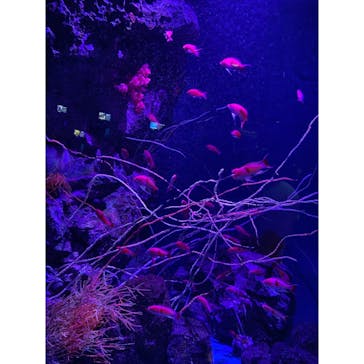 マリンワールド海の中道に投稿された画像（2020/9/20）