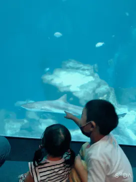 アクアワールド茨城県大洗水族館に投稿された画像（2020/9/20）