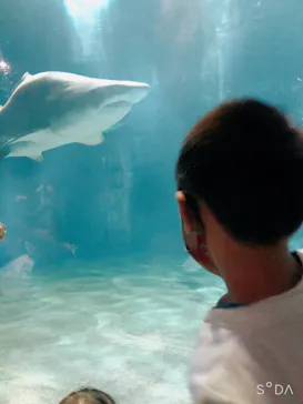 アクアワールド茨城県大洗水族館に投稿された画像（2020/9/20）