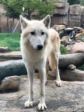 那須どうぶつ王国に投稿された画像（2020/9/20）