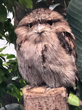 那須どうぶつ王国に投稿された画像（2020/9/20）