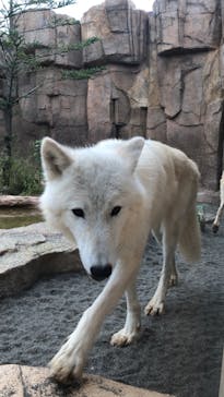 那須どうぶつ王国に投稿された画像（2020/9/20）