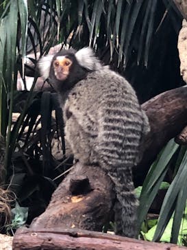 那須どうぶつ王国に投稿された画像（2020/9/20）