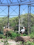 天王寺動物園に投稿された画像（2020/9/20）