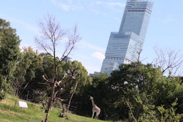 天王寺動物園に投稿された画像（2020/9/20）