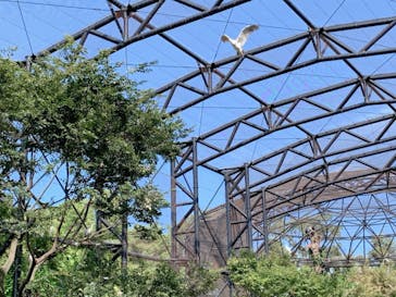 天王寺動物園に投稿された画像（2020/9/20）