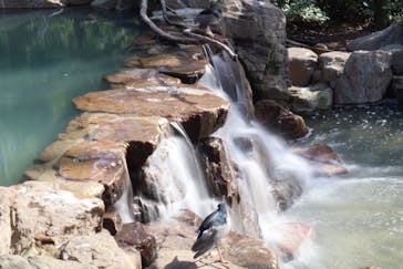 天王寺動物園に投稿された画像（2020/9/20）