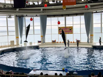 アクアワールド茨城県大洗水族館に投稿された画像（2020/9/20）