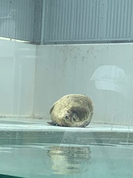 株式会社Gに投稿された画像（2020/9/20）