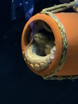 株式会社Gに投稿された画像（2020/9/20）