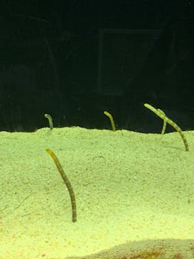 株式会社Gに投稿された画像（2020/9/20）