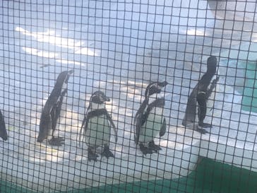 天王寺動物園に投稿された画像（2020/9/20）