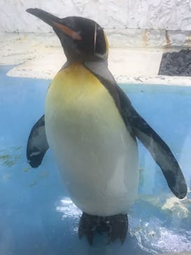 天王寺動物園に投稿された画像（2020/9/20）