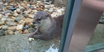 神戸どうぶつ王国に投稿された画像（2020/9/20）