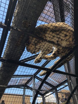 旭川市旭山動物園に投稿された画像（2020/9/20）