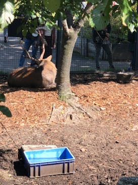 旭川市旭山動物園に投稿された画像（2020/9/20）